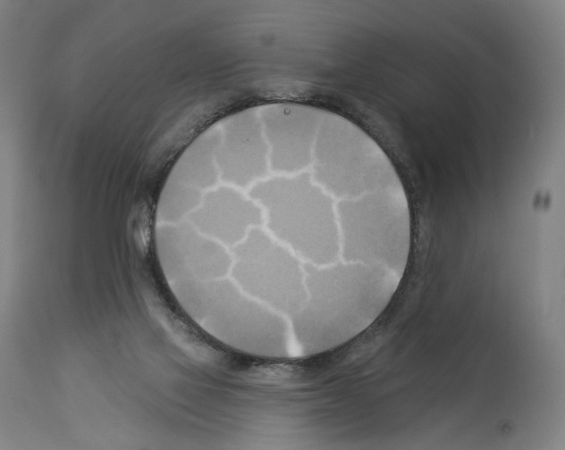 X0000114020069200911131236