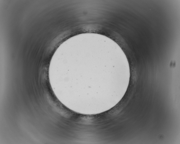 X0000114020071200911131236