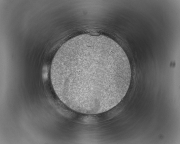 X0000114020075200911131236