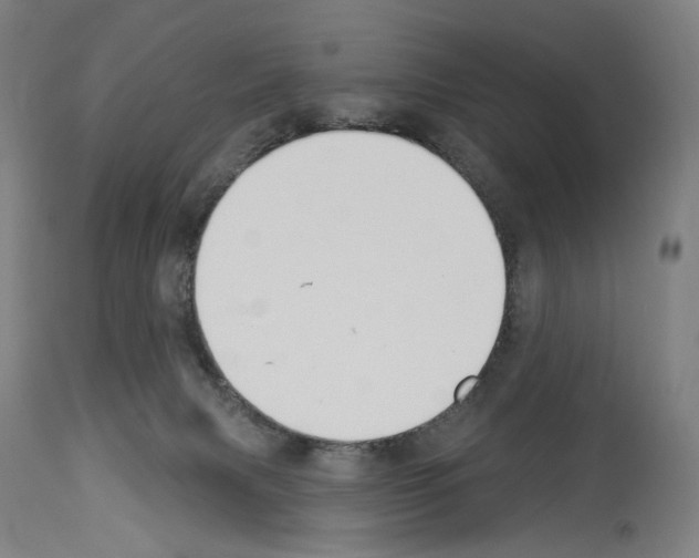 X0000114020079200911131236