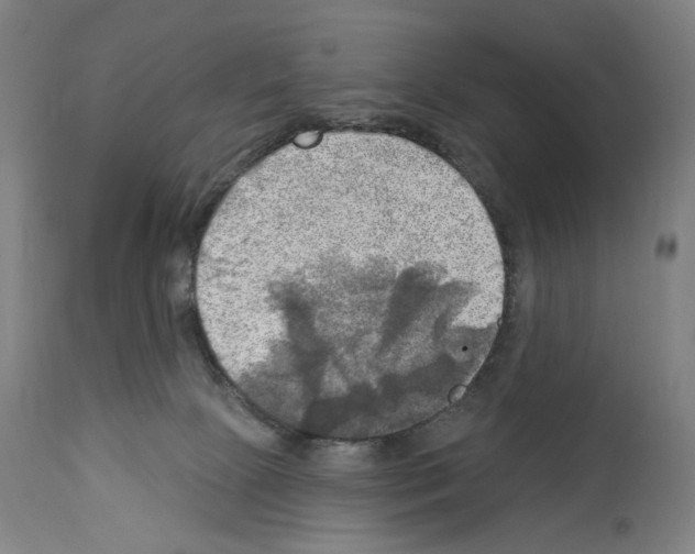 X0000114020081200911131236