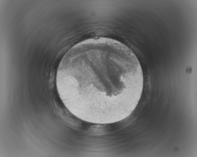 X0000114020082200911131236