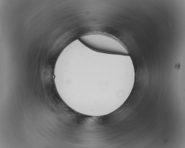 X0000114020092200911131236