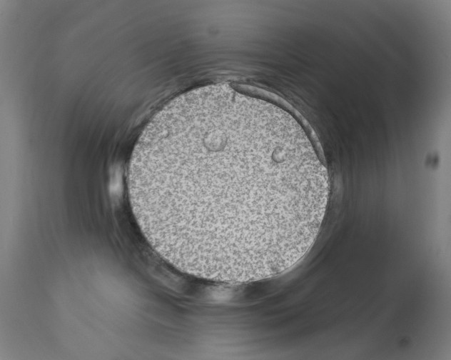 X0000114020094200911131236