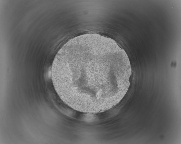 X0000114020095200911131236