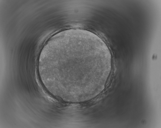 X0000114020097200911131236