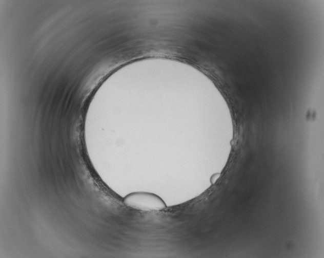 X0000114020098200911131236