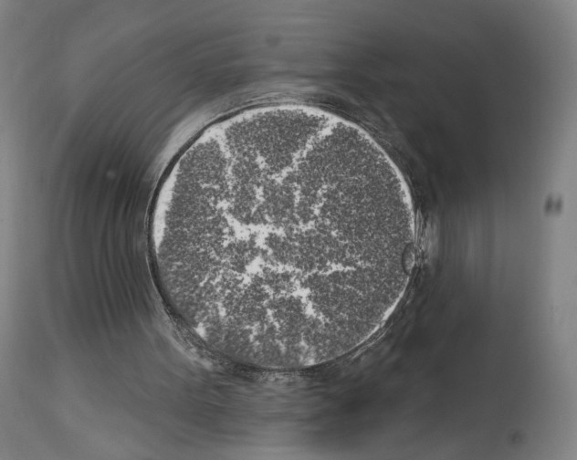 X0000114020099200911131236