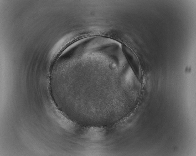 X0000114020101200911131236