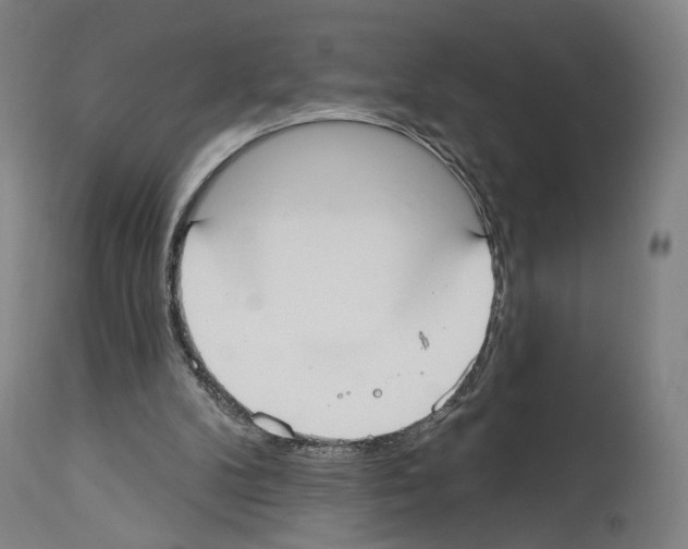 X0000114020104200911131236