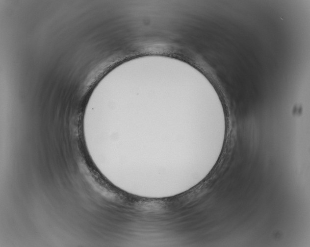 X0000114020106200911131236