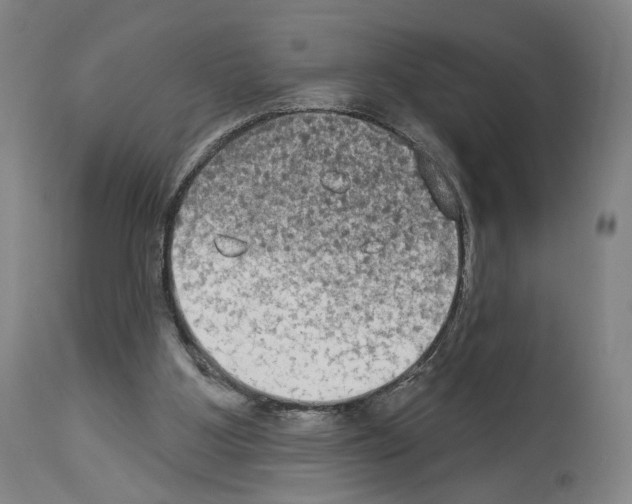 X0000114020107200911131236