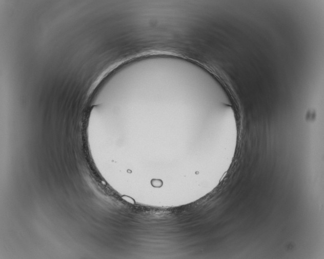 X0000114020108200911131236