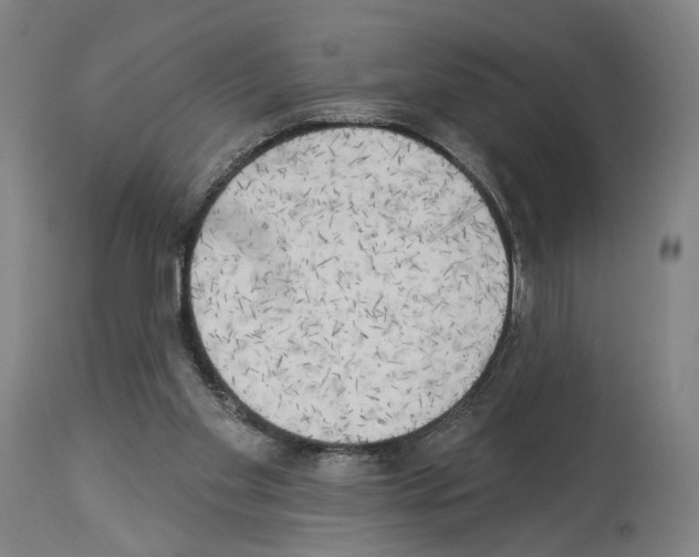 X0000114020109200911131236