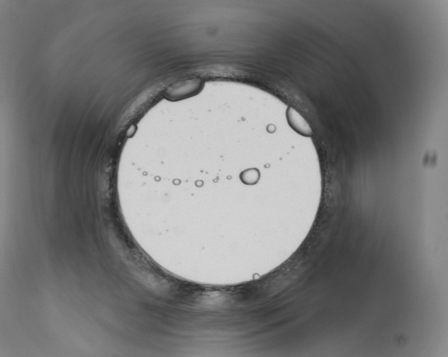 X0000114020111200911131236