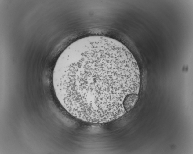 X0000114020114200911131236
