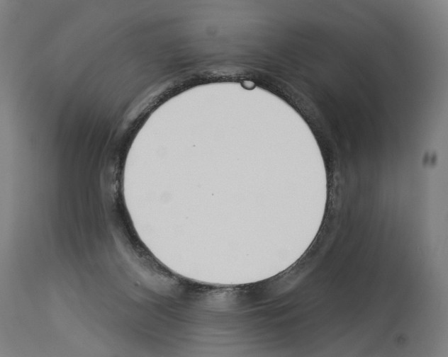 X0000114020116200911131236