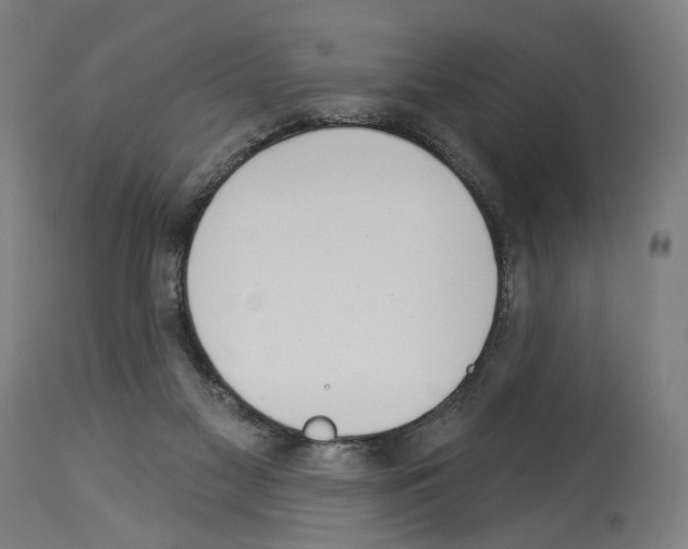 X0000114020117200911131236