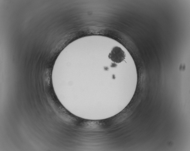 X0000114020121200911131235