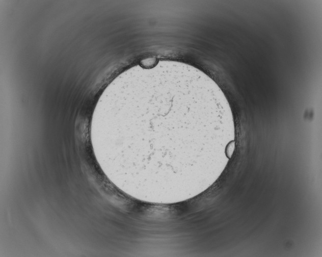 X0000114020123200911131235