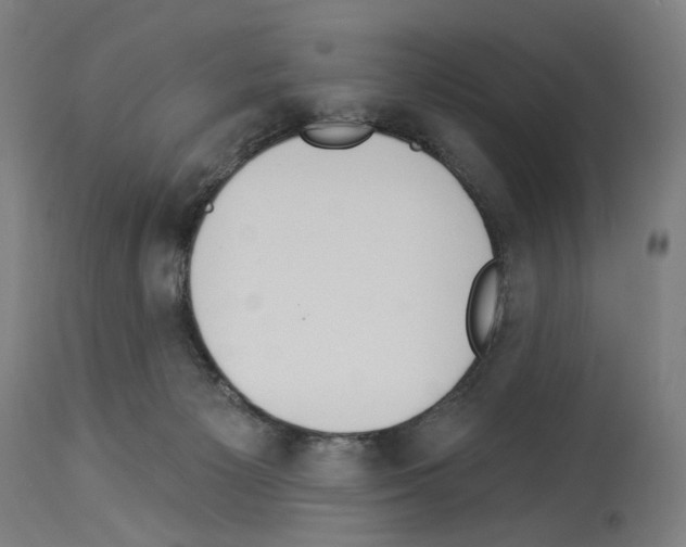 X0000114020125200911131235