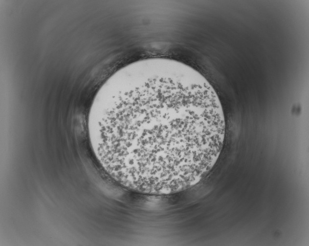 X0000114020130200911131235