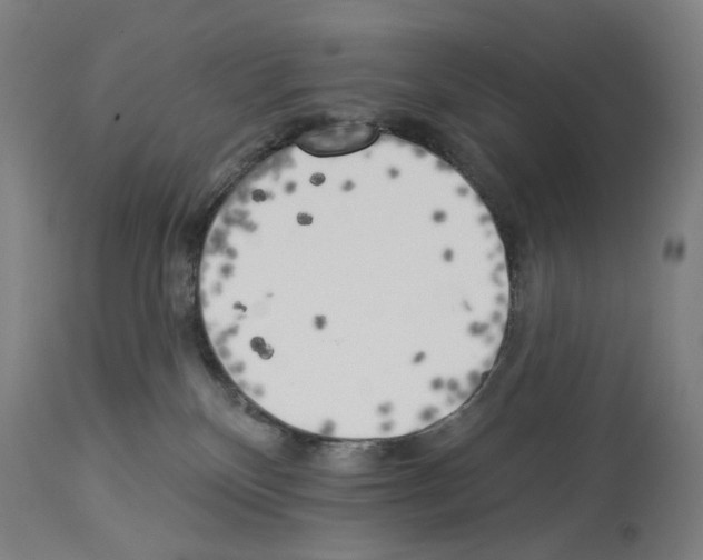 X0000114020136200911131235