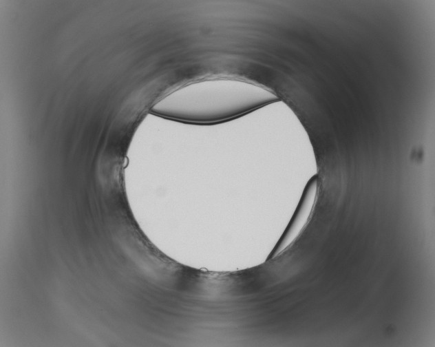 X0000114020141200911131235