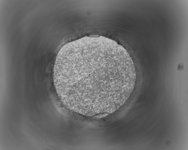 X0000114020144200911131235