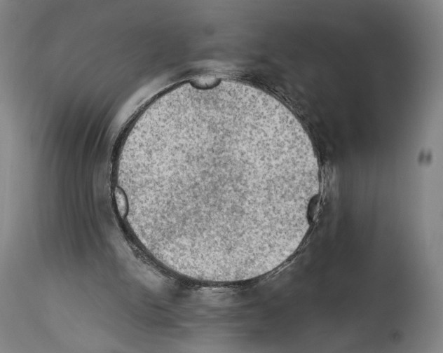 X0000114020150200911131235