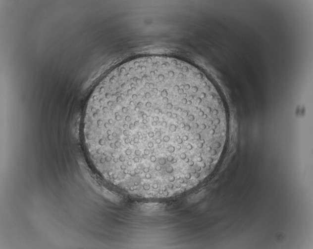 X0000114020153200911131235