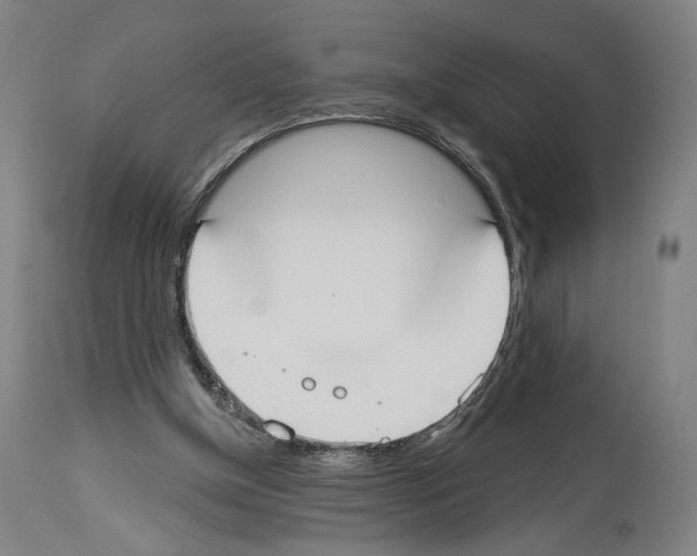 X0000114020154200911131235