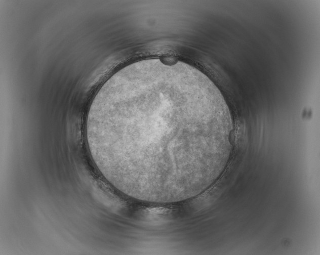 X0000114020158200911131235