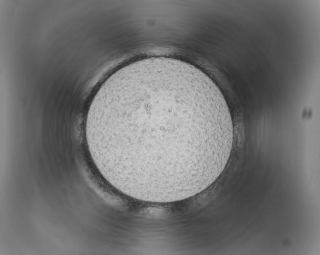 X0000114020159200911131235