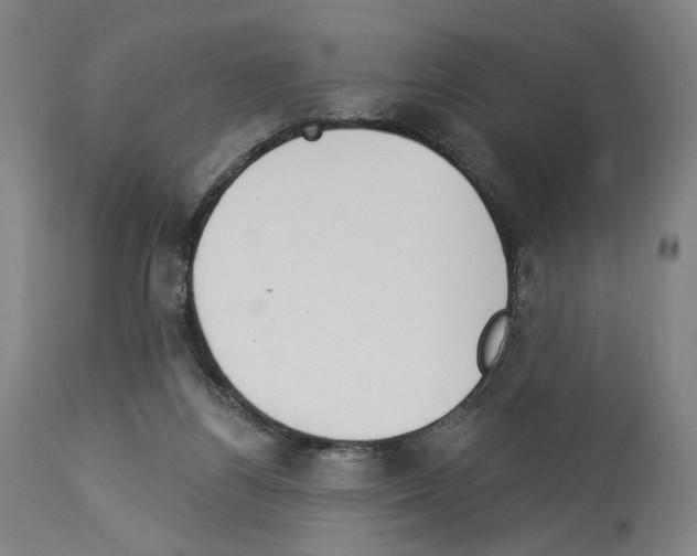 X0000114020164200911131235