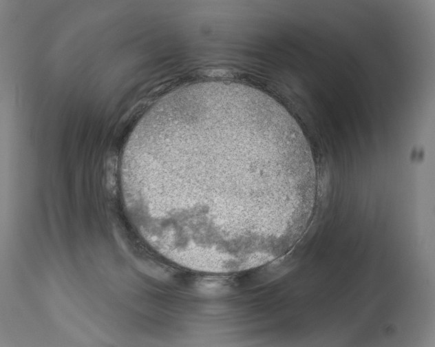 X0000114020175200911131235