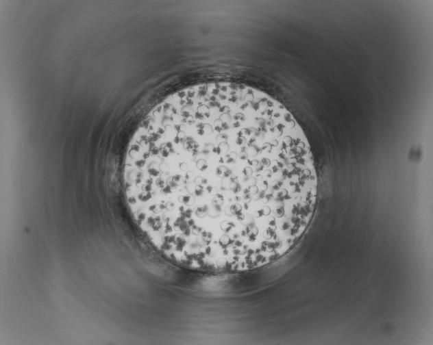 X0000114020178200911131235