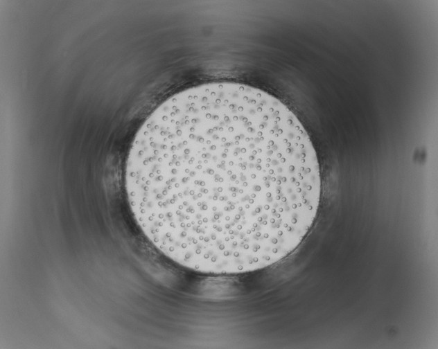 X0000114020179200911131235