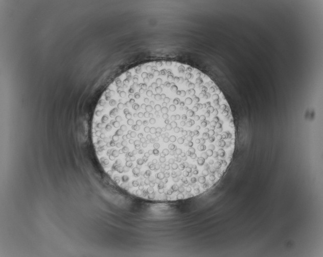 X0000114020183200911131235