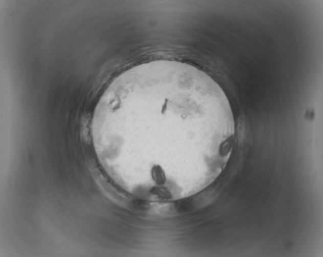 X0000114020185200911131235