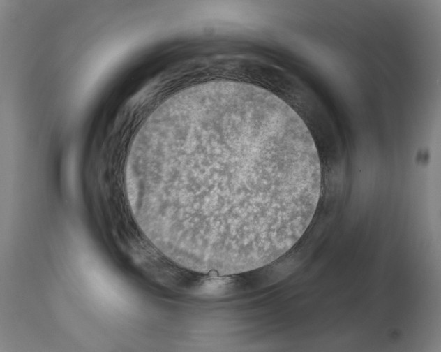 X0000114020189200911131235