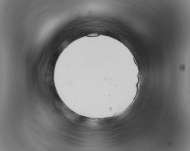 X0000114020190200911131235