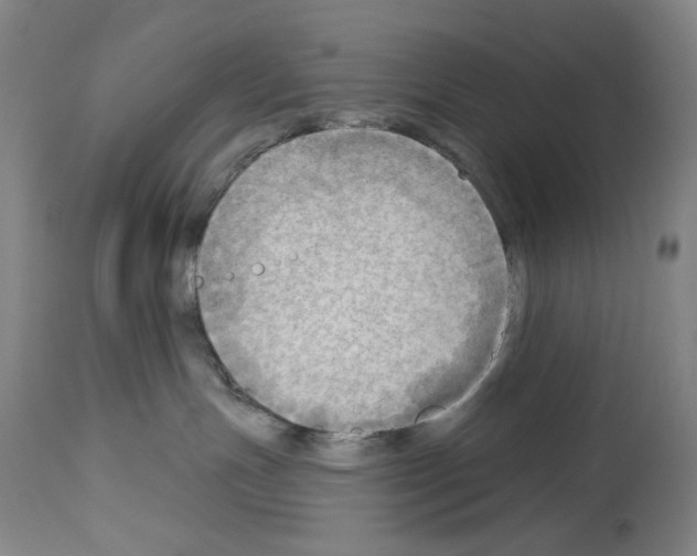 X0000114020191200911131235