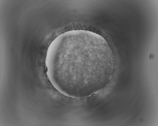 X0000114020192200911131235