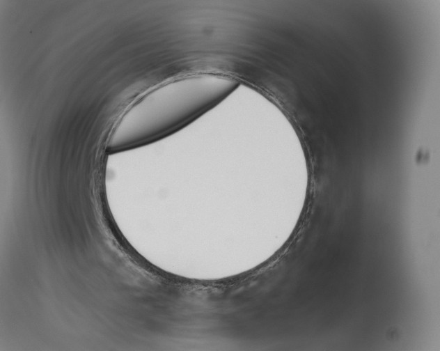 X0000114020193200911131234