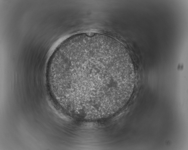 X0000114020200200911131234