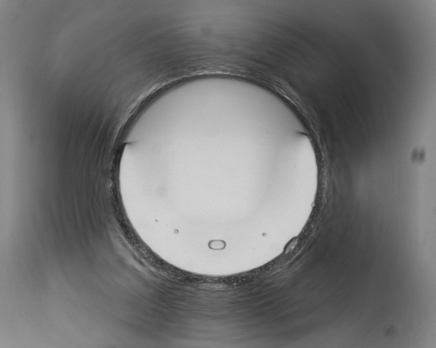 X0000114020203200911131234