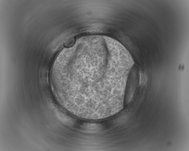 X0000114020205200911131234