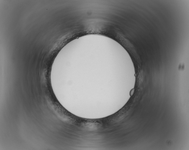 X0000114020209200911131234