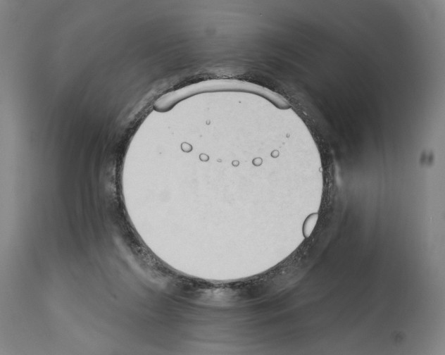 X0000114020212200911131234